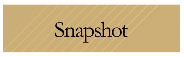 button1-snapshot